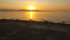 cevapsiz soru ocak ayi neden bu kadar sicak oldu X9eqkMNB