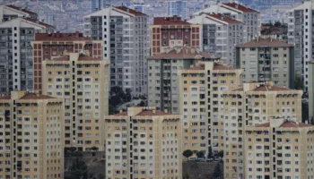en cok konut satilan iller aciklandi ImAfa3K3