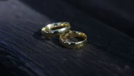 en fazla bosanma olan illler belli oldu JAIVpHTa