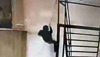esenyurtta sok hirsizlik 250 bin liralik vurgun UYi9s9DO