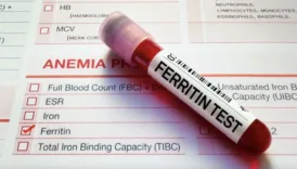 ferritin nedir az olmasi neyin isareti ferritin degeri kac olmali dusuklugu ve yuksekliginde neler SIkAnCOW
