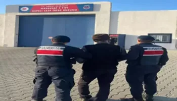 olduren kopeklerin sahibine hapis cezasi bKhVfkpI