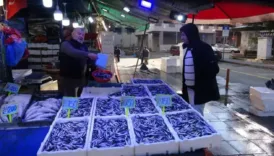 palamut bitti hamsi gorunmuyor balikcilar ne yapacak YTLHH5UF
