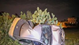 agaca carpan aractaki polis memuru oldu 7GNcsaRc