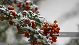 ankarada 19 martta kar yagisi basladi yKaZa8bi