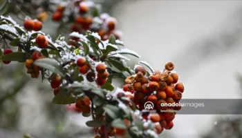 ankarada 19 martta kar yagisi basladi yKaZa8bi