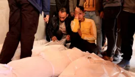 ateskes yururluge girdiginden beri israil 145 filistinli oldurdu mHJskaBc