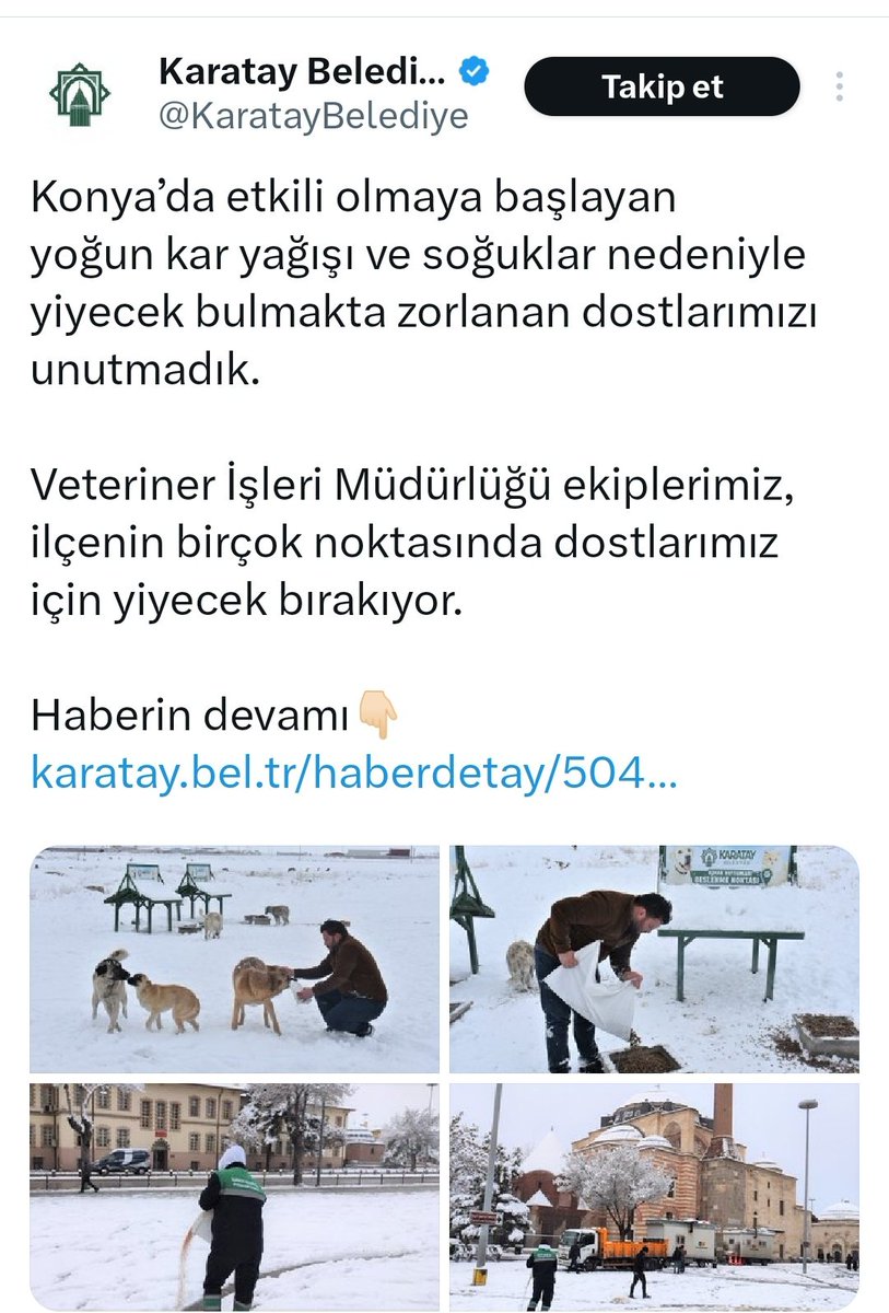 basibos kopekler bir can daha aldi halk ayaklandi 0 j9UVbKvM
