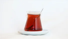 demlenen cay sudaki agir metalleri nasil etkiliyor pBACTOxN