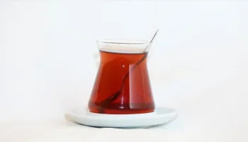 demlenen cay sudaki agir metalleri nasil etkiliyor pBACTOxN