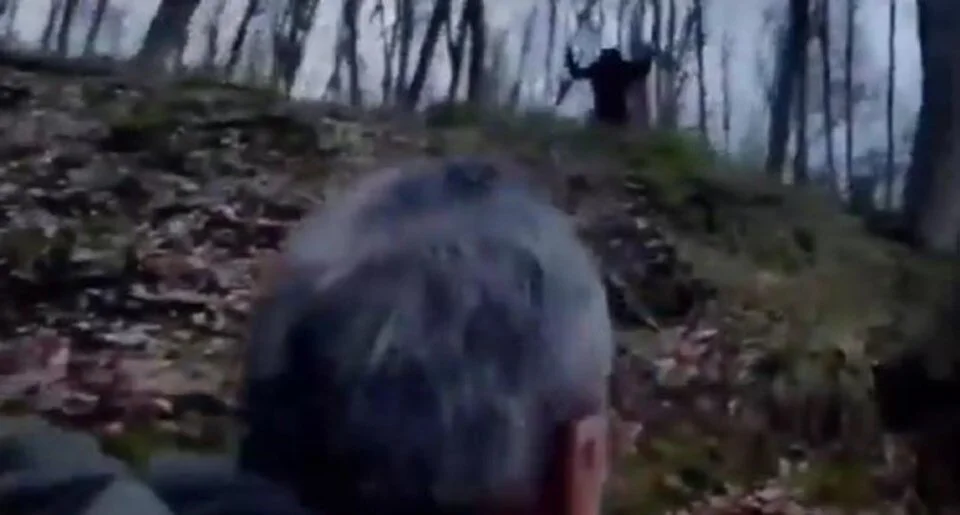 ece gurel olayi ve belgrad ormani efsaneleri gizemli yaratik cadilik egitimi 2 B9pJJjTR