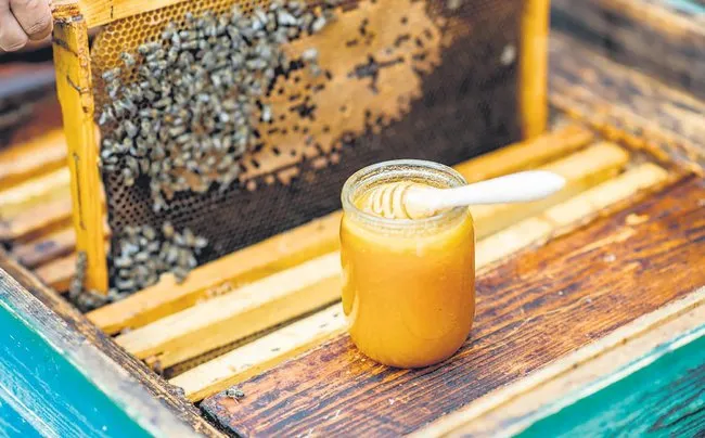 her derde deva ari sutu 10 maddede ari sutu 1 AARdvZeC