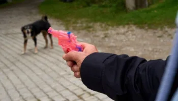 isvicreli siyasetciye su tabancasi cezasi PNCEMgAd