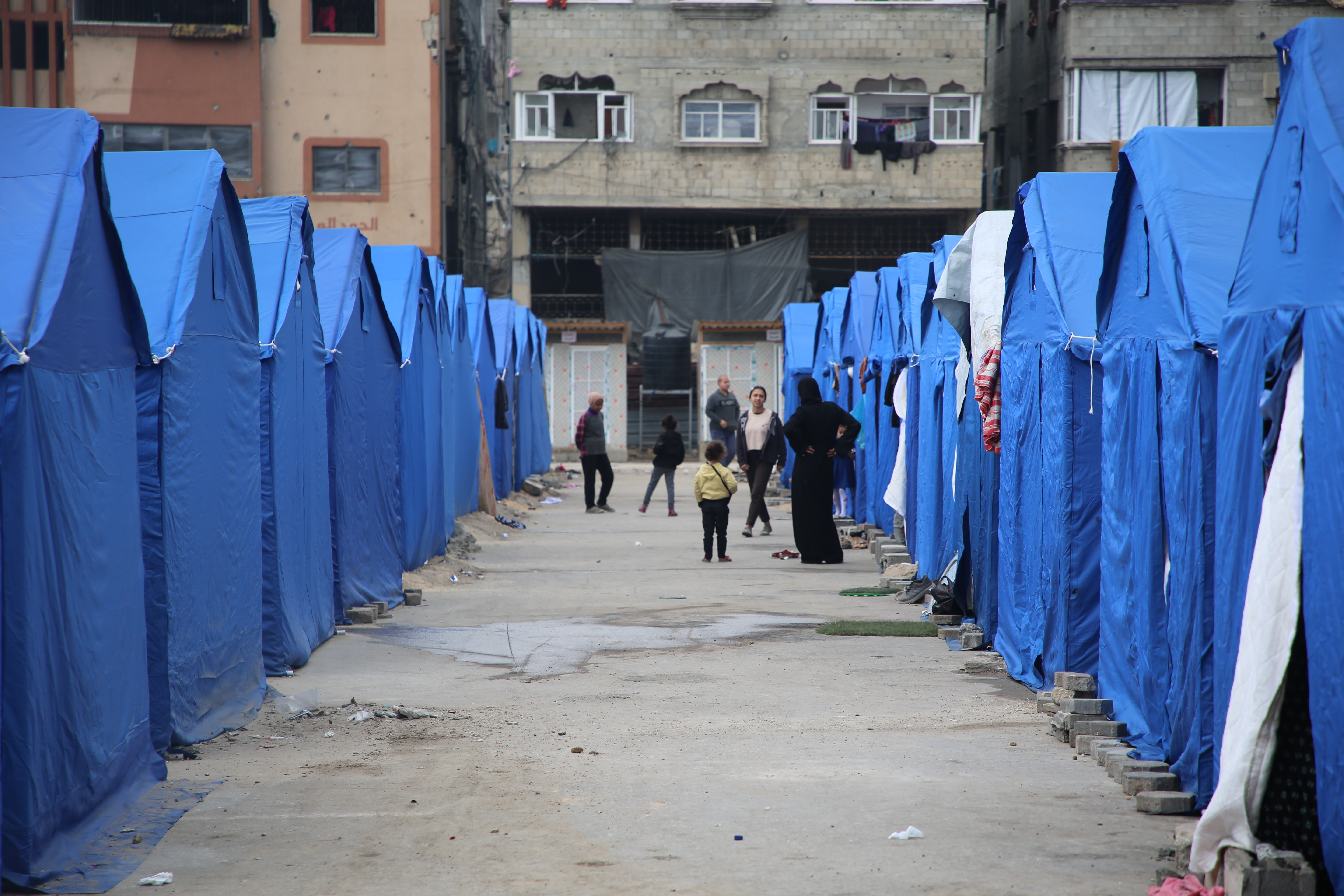 kizilay gazzede afad cadirlariyla kamplar kuruyor 0 LHlPXPyY