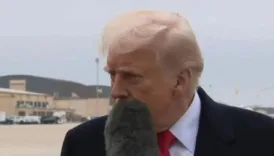 mikrofon trumpin agzina carpti ters bakip dalga gecti gXyupMBY