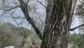 miras kavgasi gercek babayi ortaya cikardi katili tarafindan oldurulmus Prf7epuJ