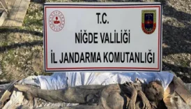 mumya operasyonu satmaya calisirken yakalandilar Y2KlGwuE