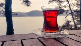 prof dr yilmaz sekersiz cayin faydalarini anlatti 1gGVAu3i