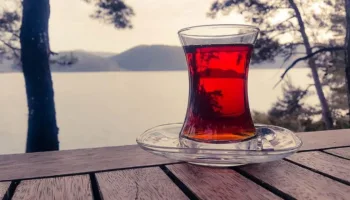 prof dr yilmaz sekersiz cayin faydalarini anlatti 1gGVAu3i