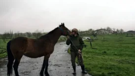 savasta at esek ve deve donemi rusya ukraynada neden hayvanlari kullaniyor 5vjv7faI
