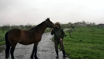 savasta at esek ve deve donemi rusya ukraynada neden hayvanlari kullaniyor 5vjv7faI