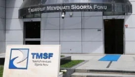 tmsf iki sirketteki paylarini satiyor lZ7tNNDb