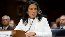 tulsi gabbard trump ve zelenskiynin cikarlari arasindaki buyuk farklar var SVGO2tpN