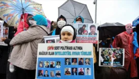 turkiyede ilk mahkeme cinde zulum yok dedi JeCEuRMJ