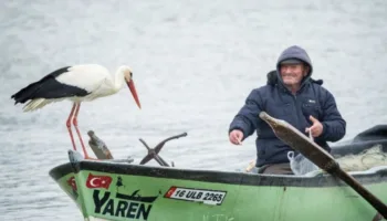yaren leylek ve adem amca bulustu geciken hasret son buldu yaren leylek adem k3bQjXSa