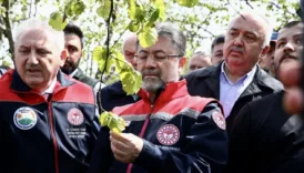 bakan yumakli zirai dondan etkilenen 16 meyve turu icin destek verilecegini bildirdi U4g4wf9r