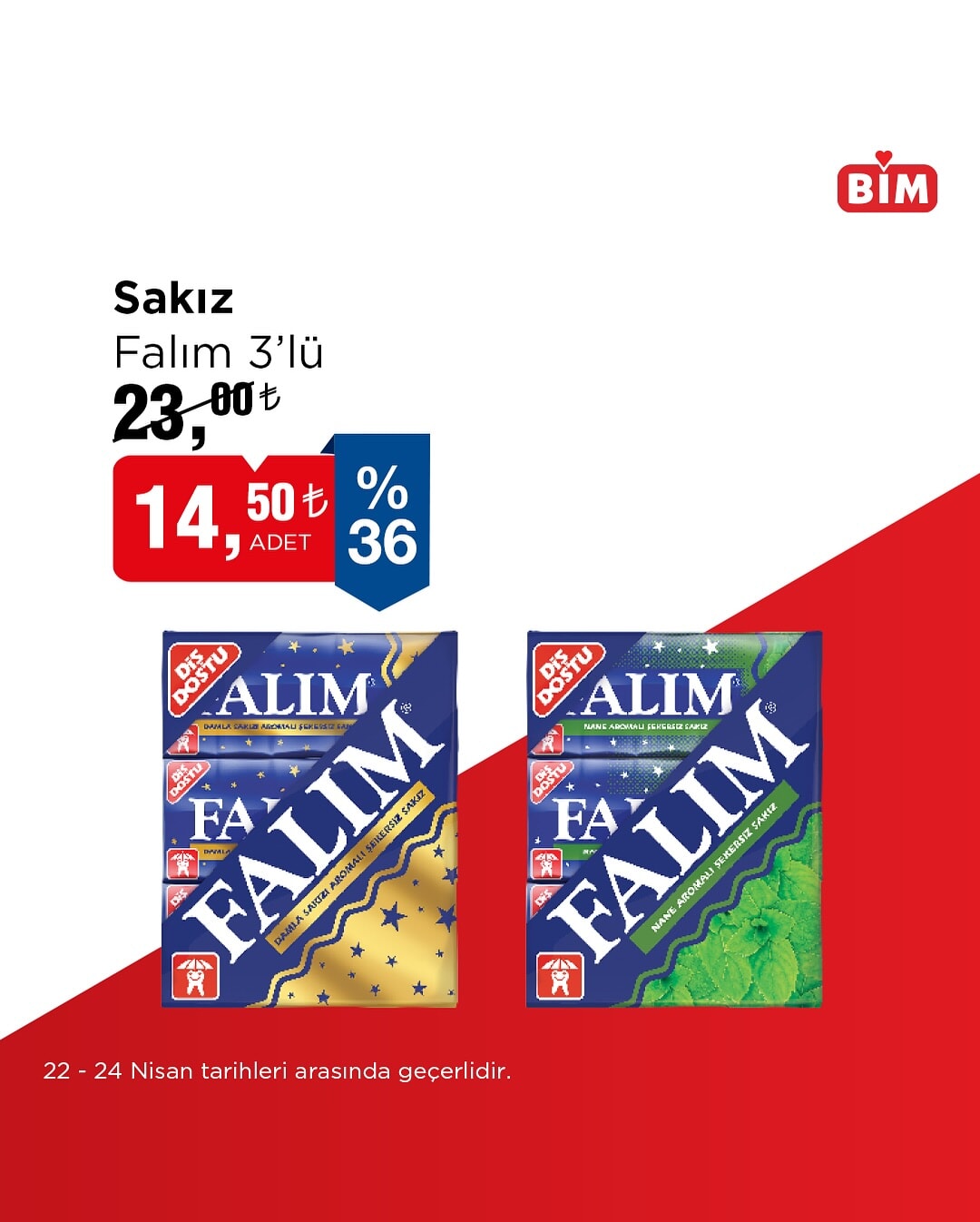bim 22 28 nisan 2025 aktuel urunler katalogu yayinlandi tiny house ve teknoloji urunlerinde dikkat PWdhMz2s