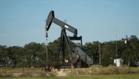 brent petrol fiyatinda sok dusus uTUYyDE8