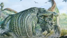 dinozorlari yiyen dev antik timsahlarin sirri cozuldu RAIzW5Mv
