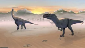 dinozorlarla ilgili yeni kesif suru halinde yasiyorlarmis dDwX6UeO