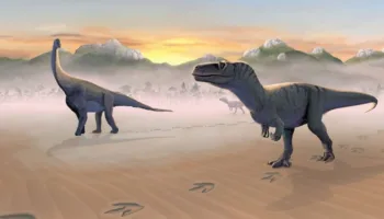 dinozorlarla ilgili yeni kesif suru halinde yasiyorlarmis dDwX6UeO