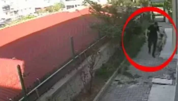 doktorun evinde parcalanmis kopek cesetleri telefonda korkunc videolar LKAJLrpp