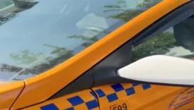 eyupsultanda ingiliz boksor taksi soforunu komalik etti lND19qmH