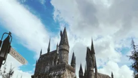 harry potter dizisinin oyuncu kadrosu aciklandi bORJfus5