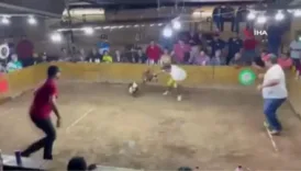 horoz dovusunde vahset silahli saldirida olu sayisi 12ye cikti LlxMGvfX