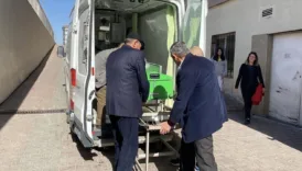 kopek saldirisina ugrayan 72 yasindaki adam yasamini yitirdi QbQIkLFY
