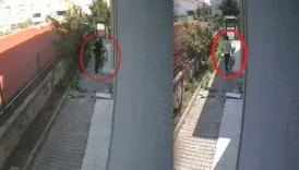 kopekleri parcalayip oldurdugu iddia edilen doktor tutuklandi xisIDnrA