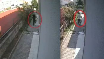 kopekleri parcalayip oldurdugu iddia edilen doktor tutuklandi xisIDnrA