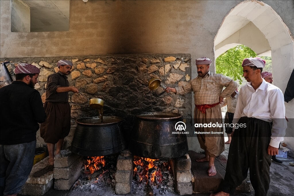 lales tapinaginda 300 gonullu ile zeytin hasadi manevi bir etkinlik 5 aWOXH8q4