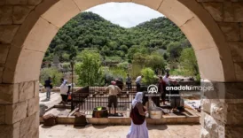 lales tapinaginda 300 gonullu ile zeytin hasadi manevi bir etkinlik B3Az6P5h