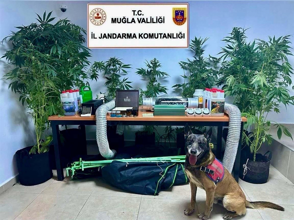 ogretmen uyusturucu ureticisi ve saticisi cikti 1 fHk3kqzb
