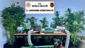 ogretmen uyusturucu ureticisi ve saticisi cikti c6T1UZrR
