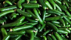 salatalik yemeyin unlu marketler de satiyor ZF5vqWci