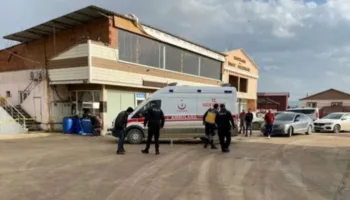 sinopta akraba kavgasi can aldi F1GfJgR2