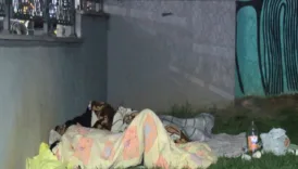 uykum gelmiyor deprem olabilir diye korkuyorum a2ytvIB9