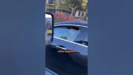 valinin yegeniyim videosuna iliskin vali gulden aciklama TYbzS9Q7